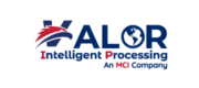 Valor VIP Logo
