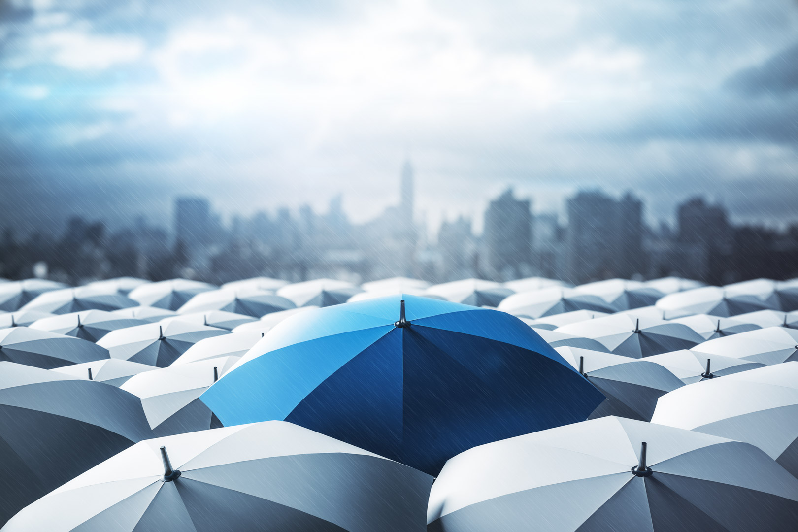 insurance industry