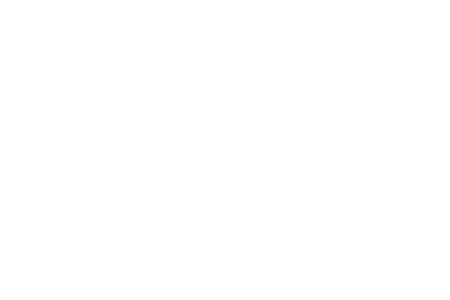 MCI Federal Services