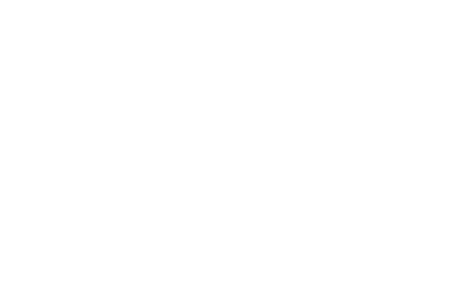 Vinculum Logo