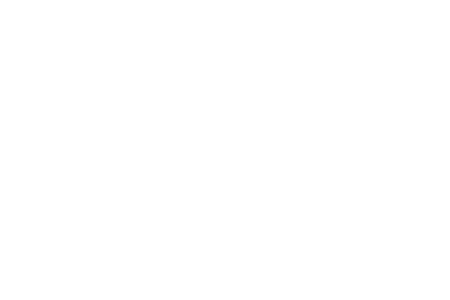 Valor Intelligent Processing Logo